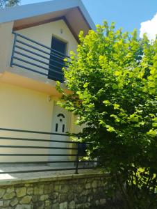Cottage in nature of Cetinje