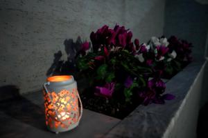 Old Bazaar Balcony Villa