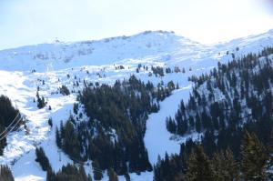 Résidence Cassiopee - Appartement tout confort · proche des pistes · WIFI gratuit · vue pistes MAE-0471