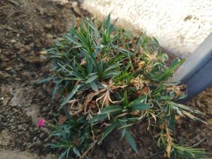 Appartement Design 2 - Altenstadt