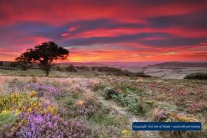 Hunter Heights Loft – Near Ventnor, Isle of Wight