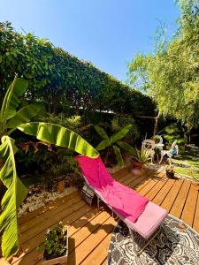 Appt jardin privé 2 pièces piscine, tennis pétanque dans résidence