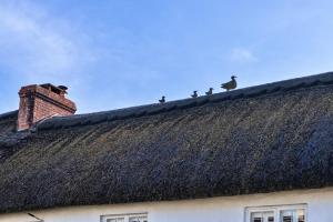 The Cottage at High Bickington