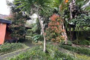 Batur Sunrise Guesthouse