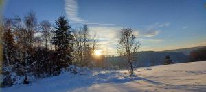 Ferienwohnung “Haus Rita”