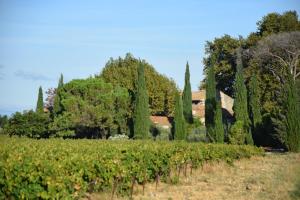 La Tanière du Renard