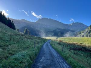 Chalet de charme aux Paccots en famille !