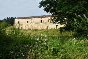 Moulin de Haussecame