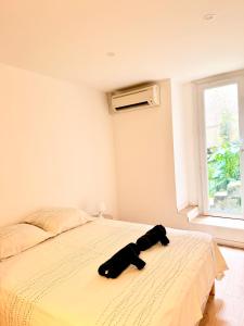 Appartement hyper centre 100m de la plage