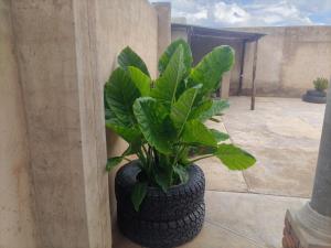 Lethabo Mountain View Guest House