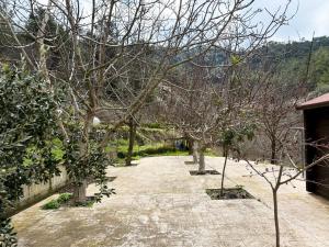 Η σπηλιά του Θουκυδίδη