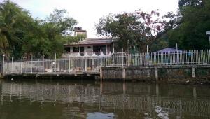 Southern Crocodile - Gaga Addara Hotel