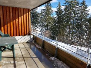 Appartement ECRIN DES NEIGES 1750 accès direct pistes
