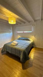 Stone Tiny Chalten Nordic Cabin Patagonia - Arg