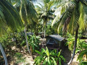 coconut camp udawalawe