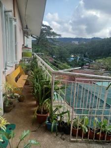 Ecarg Alum Baguio City Transient House