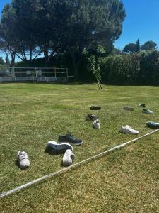 Osteria del Cavaliere B&B e Maneggio