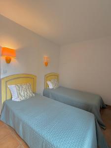 Mazet de Camargue au charme provençal