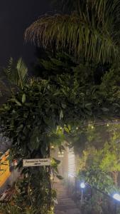 Greenleaf Holidays