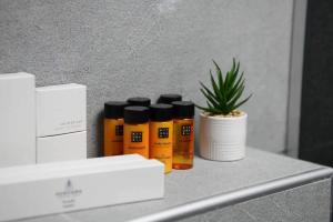 VS Exclusive Luxury Delux Studio with King Bed and Parking