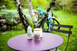 Les Bouvreuils, vue Alpes & Léman, jardin privé