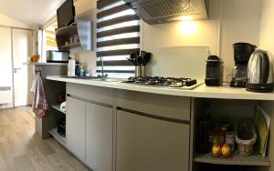 Mobil-Home Domaine 4 Etoiles de lIle dOr vue mer pour 4 personnes