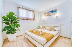 Ideal Property Mallorca - Bella Italia