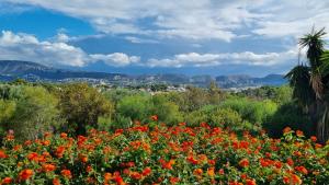 Rosalalinda - cosy semi-detached home with sea views and large terrace