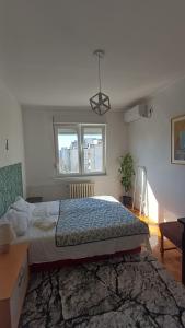 Sobe AURORA Nehruova 82