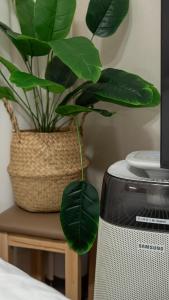 STR 스테이Bangbae