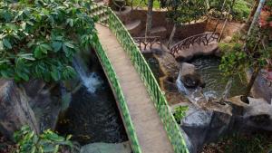 Crystal Falls Wayanad