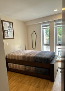 New, spacious, bright view of the Museo del Chopo