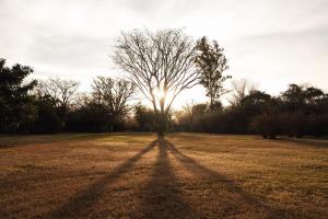 Finca Valentina Country House