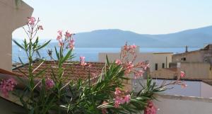 MANSARD FERRET Charming house Alghero centro img21