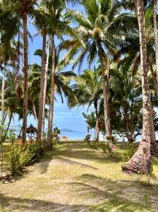 Mariejoy Haven Beach Resort