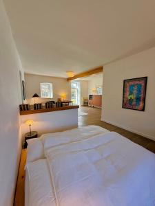 Luxuriöse Design Wohnung am Barockschloss 150 m2