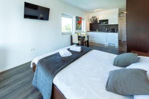 Nebuloza Apartments Rovinj with Balcony