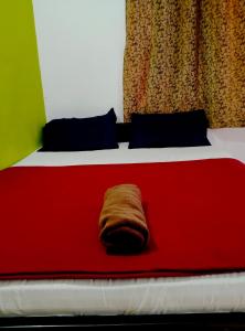 Suswesh guest house