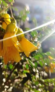 3 rooms 3 bathrooms ensuites central apartment