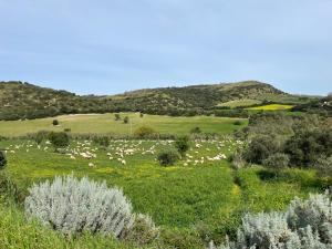 DOMU ANTIGA COLLINAS Encantadora Casa Sarda con Patio privado-Hasta 5 Huéspedes img30