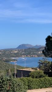 Bilocale con ampia terrazza vista mare img10