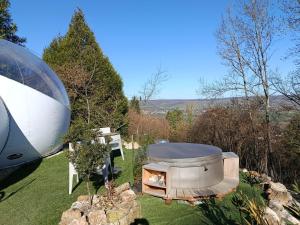 Les Bulles Du Coq De Champagne