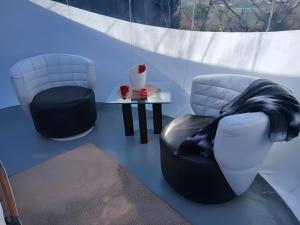 Les Bulles Du Coq De Champagne