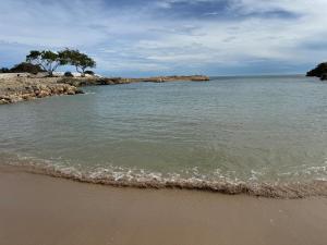 Beach side Bliss at Paradisiac Beach Club