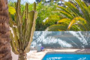 Villa Malibu - PlusHolidays