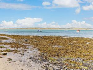 2 Bed in Appledore 77915