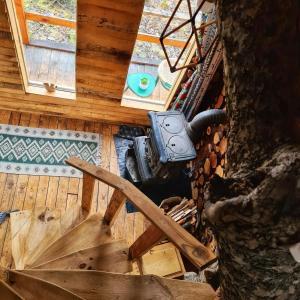 Apple Tree Cabin (Friendship Land)