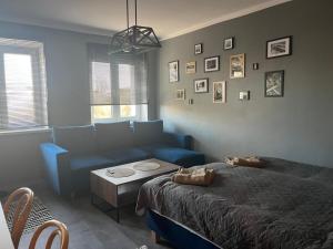 Apartament Słoneczne Popołudnie