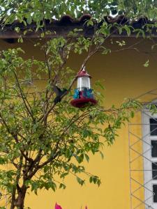 Quarto Solteiro Centro Itajaí