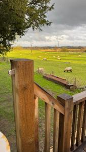The TreeHouse Hideaway